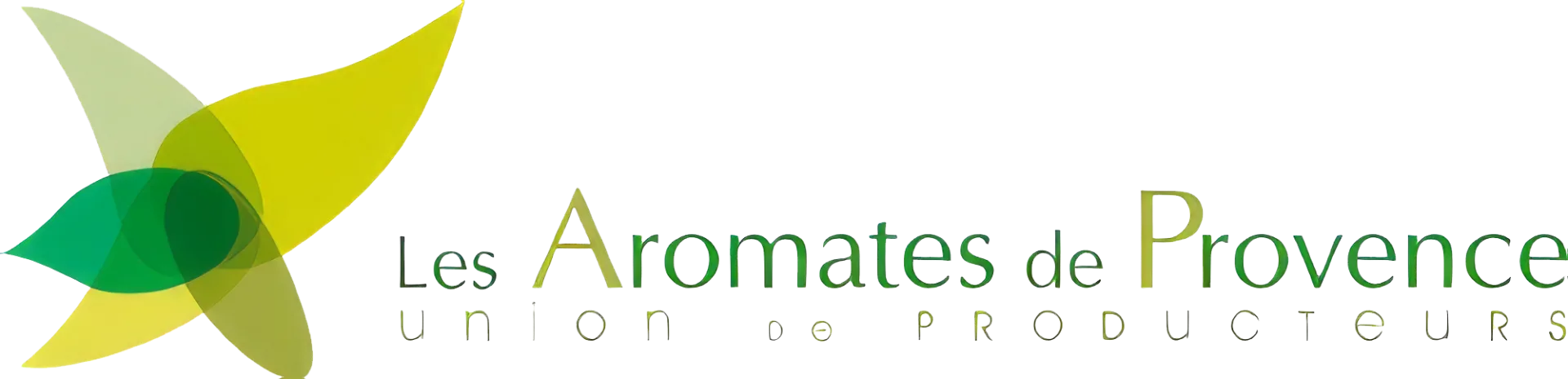 les aromates de provence